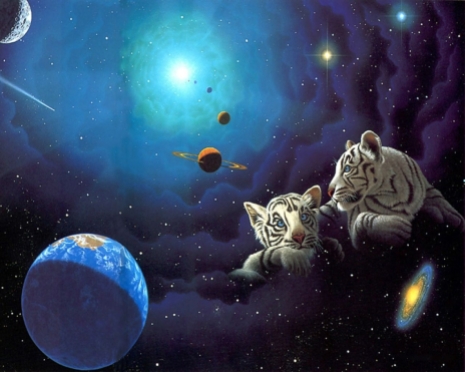 william-schimmel-tiger-cubs-and-space-1